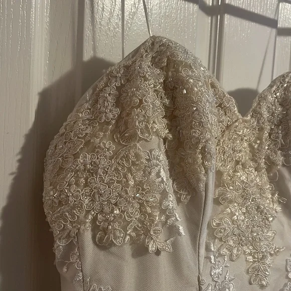 Beautiful Mermaid Lace and Tulle Wedding Dress - Picture 2 of 10